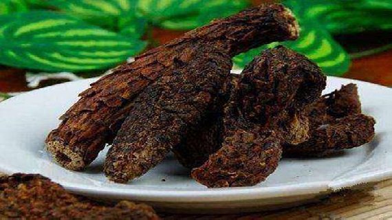 石河子肉苁蓉