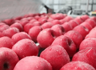 秦安雪原果品有限责任公司