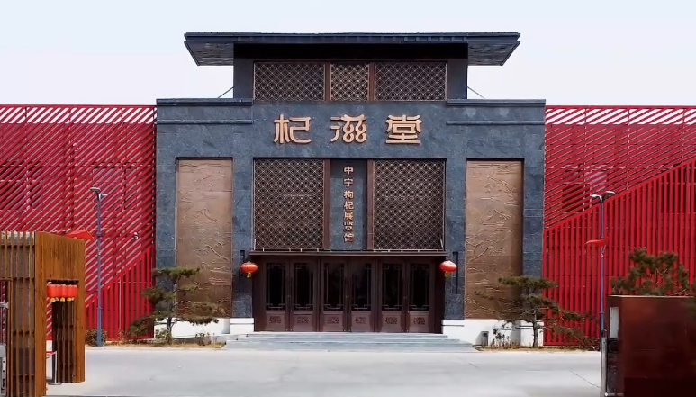 杞滋堂（宁夏）健康产业有限公司