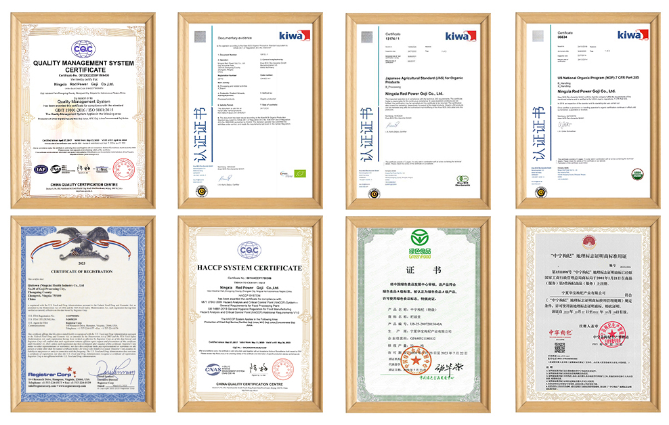 杞滋堂（宁夏）健康产业有限公司