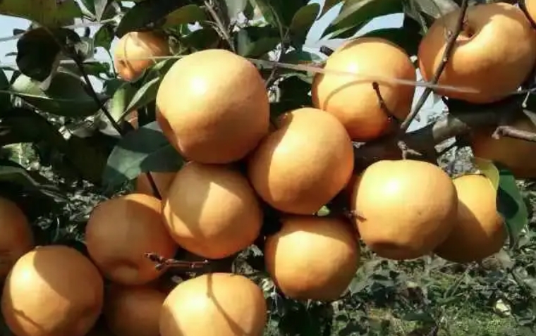 1699252297218619.png 微信截图_20231106143114.png