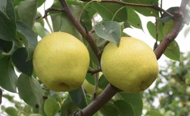 1699261482385979.png 微信截图_20231106170423.png