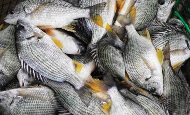 1729220205154409.png 微信截图_20241018105440.png