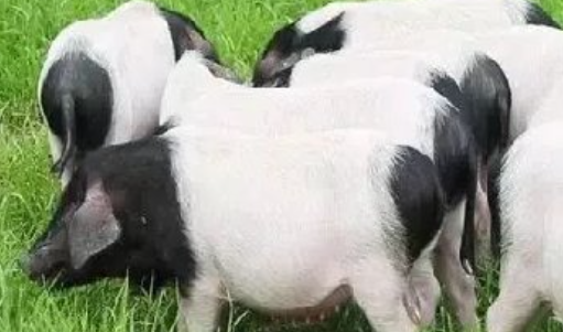 1752805699182705.png 企业微信截图_20250718102616.png