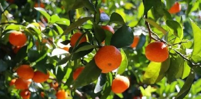 1754967642280439.png 企业微信截图_20250812105918.png