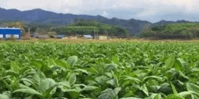 1756716903487654.png 企业微信截图_20250901165331.png