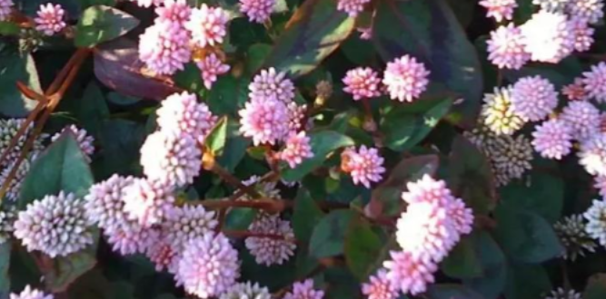 1756887494340170.png 企业微信截图_20250903161713.png