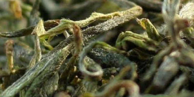 1762315140331438.png 企业微信截图_20251105115755.png