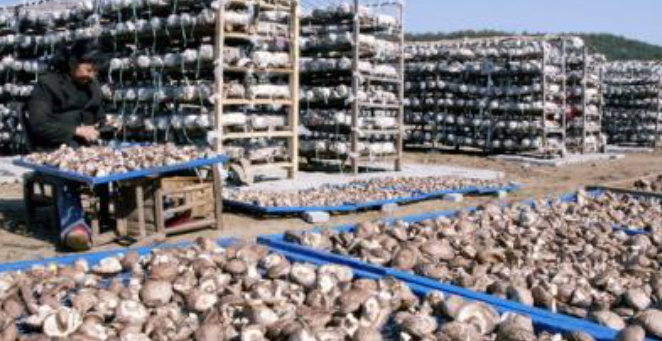 1762321505116203.png 企业微信截图_20251105134328.png