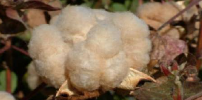 1763967131916618.png 企业微信截图_20251124145137.png