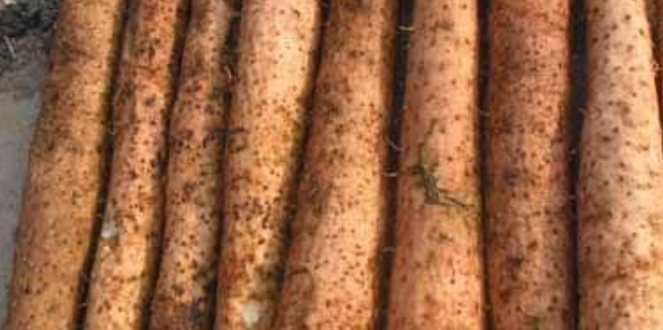 1764128490751744.png 企业微信截图_20251126114052.png