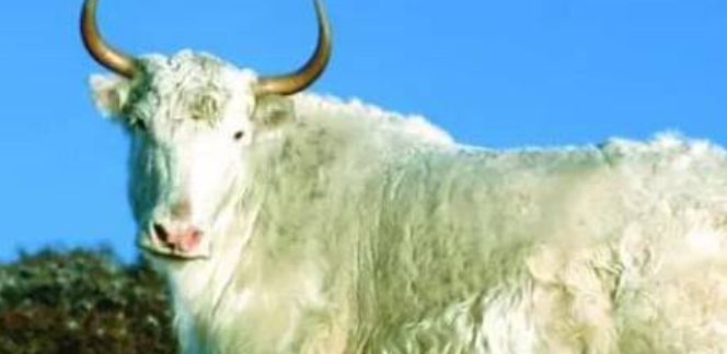 1764143543751490.png 企业微信截图_20251126155144.png